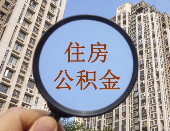 山东怎么举报公积金小广告（住房公积金怎么举报）