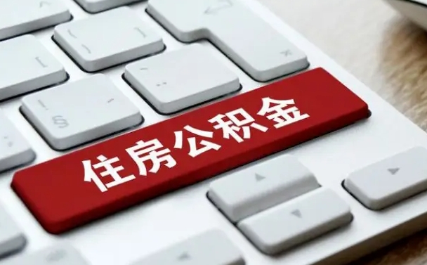 山东公积金公司交的部分怎么提取（公积金提取公司缴纳部分）